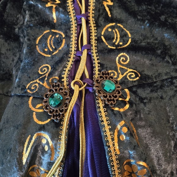 Disney Hocus Pocus Winifred Sanderson Cosplay Costume Dress Adult Womens 2X - Picture 5 of 8